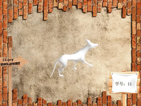 11_¹G+ok