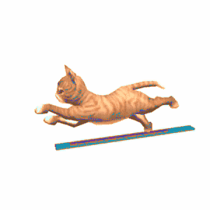猫跑步gif图片