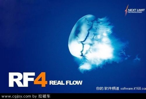 realflow2012.jpg