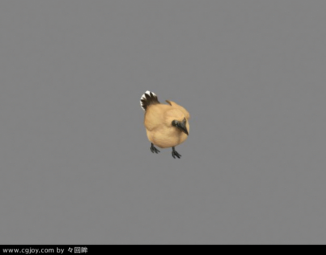 ·.gif
