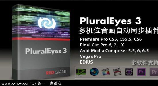 PluralEyes01_cgjoy.jpg