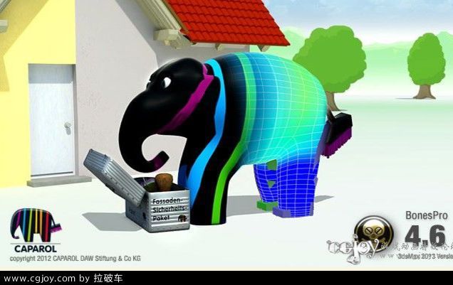 bonespro 4.6.jpg