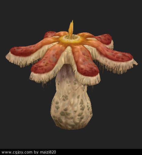 Ģ.jpg