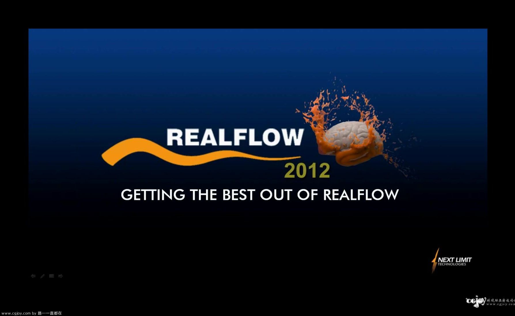 RealFlow Webinar #1.flv_20130730_175353.694.jpg