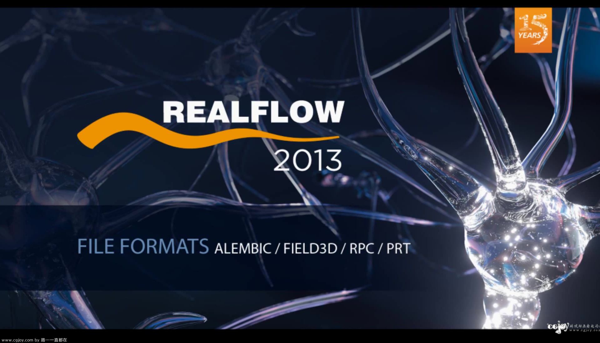 RealFlow 2013   What&#39;s New - File Formats.mp4_20130730_190625.326.jpg