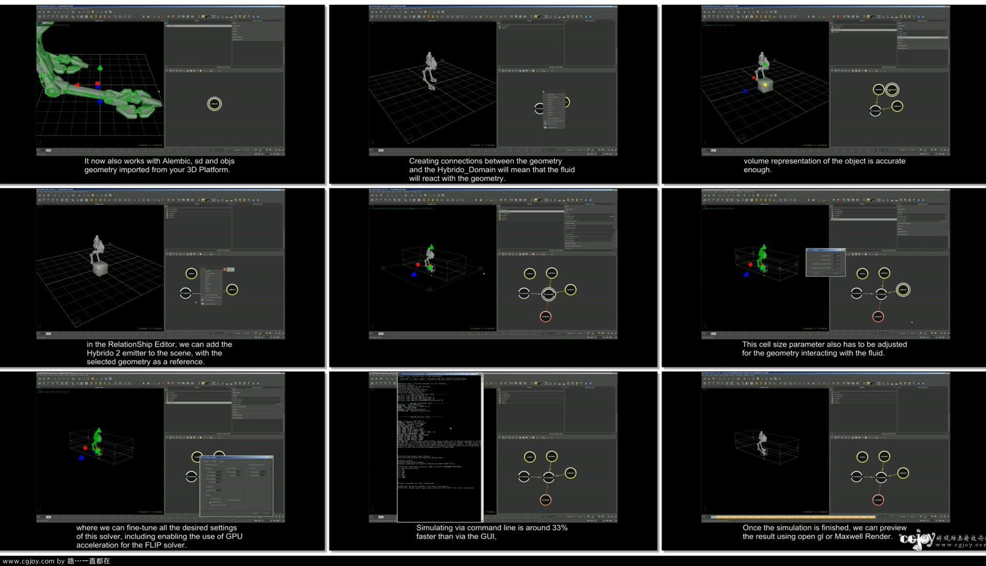 RealFlow 2013   What&#39;s New - Hybrido2.flv.jpg