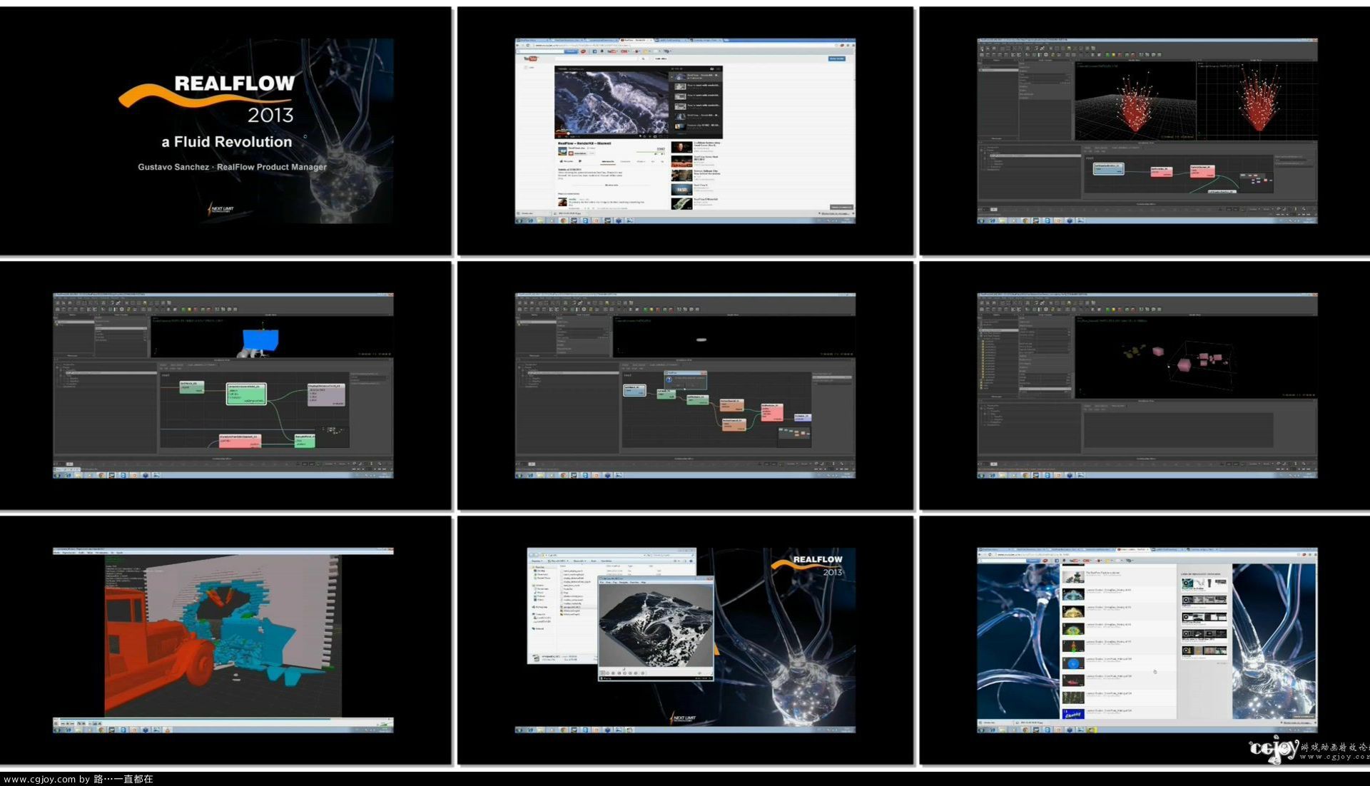 RealFlow Webinar   RealFlow 2013 A Fluid Revolution.flv.jpg