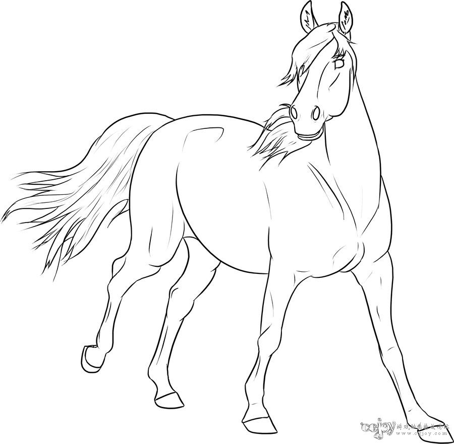 Free_Lineart___Paint_Horse_by_Baringa_of_the_Wind.jpg