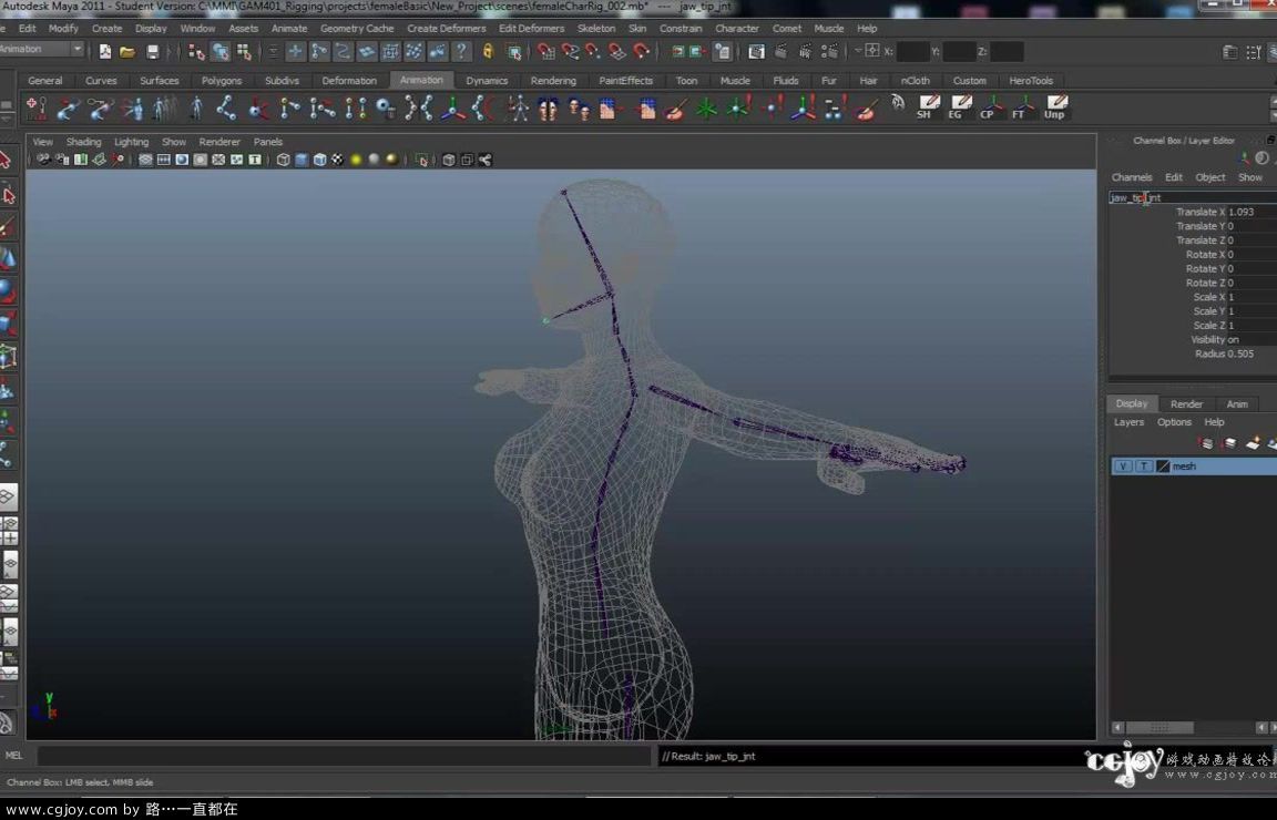 Maya Character Rigging (Session #1 -- part 4 6) -- Creating Joints for a Charact.jpg