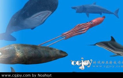 Rigged Sea Animals ׶ģʹ unity3d ģͰ.jpg