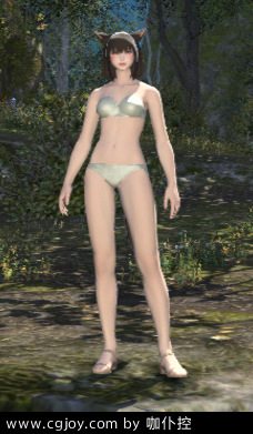 ffxiv_09252013_010259.png