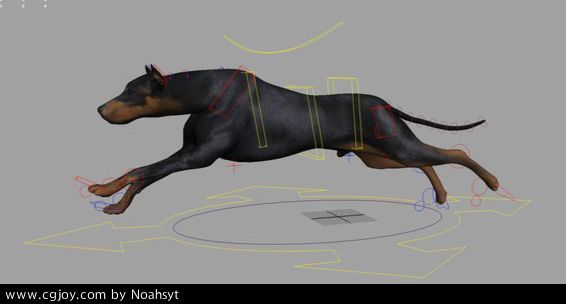 3dģ͡Ѱ󶨡 - Dog 3d model.jpg