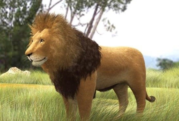 019Lion Model created with 3ds Max ʨ.jpg