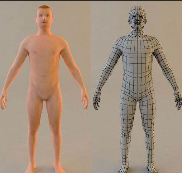 065LOWPOLY MALE BODY  ģ.jpg