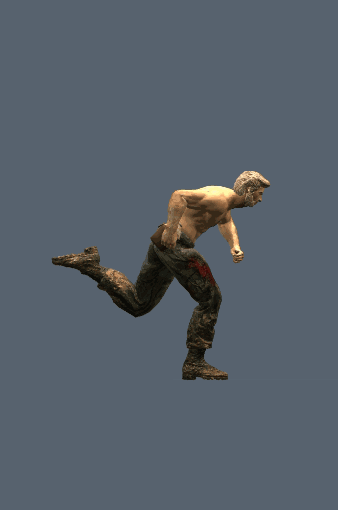 run_L1.gif