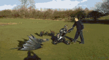 QQͼƬ20140704120038.gif