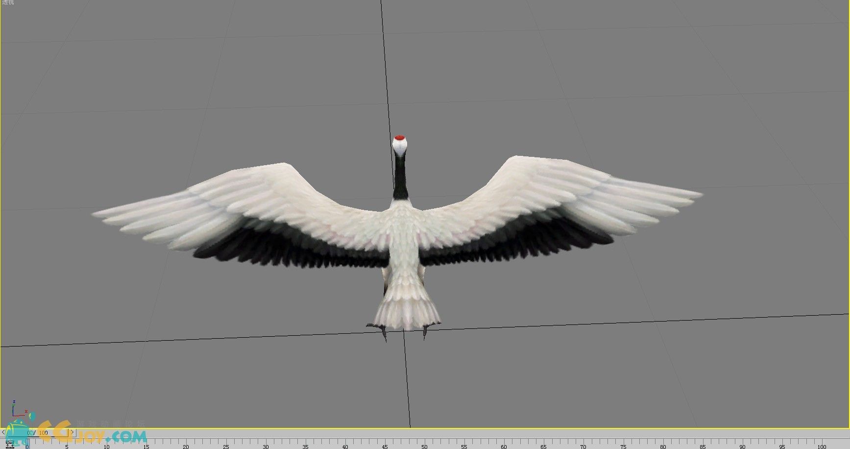 cgcrane d.jpg