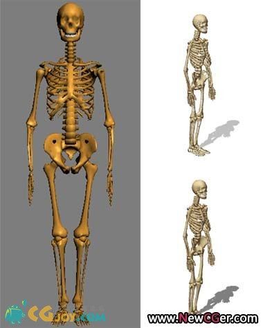 3Dģ,˵Ǽģ.jpg