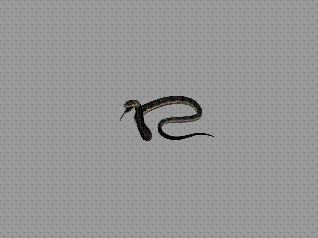 δ-1.gif
