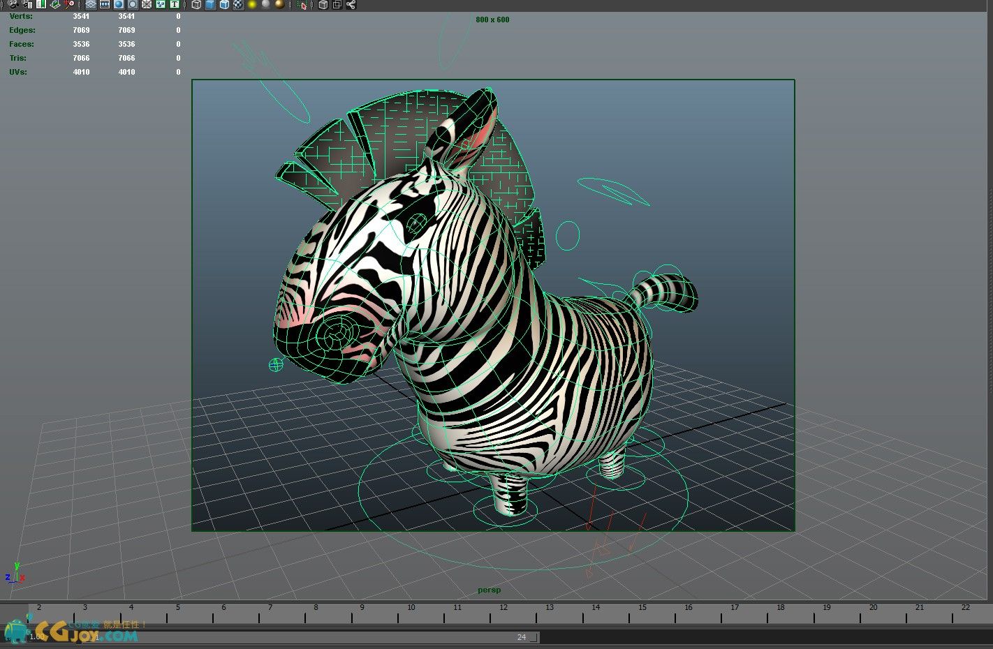 Zebra_06.jpg