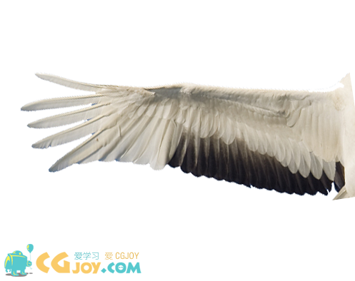 crane wings PA.png