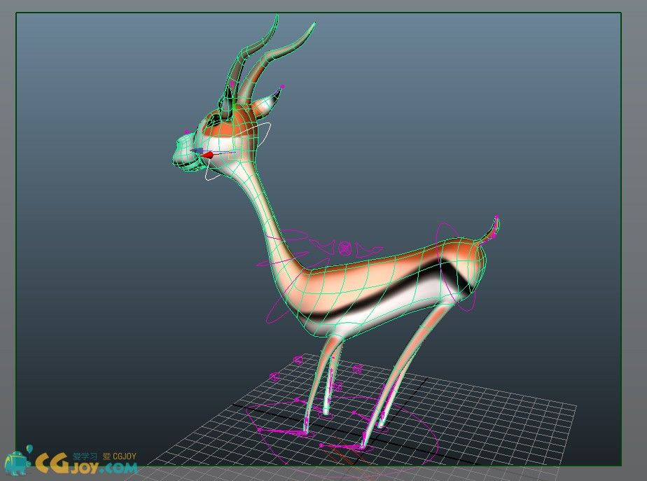 Gazelle_09.jpg