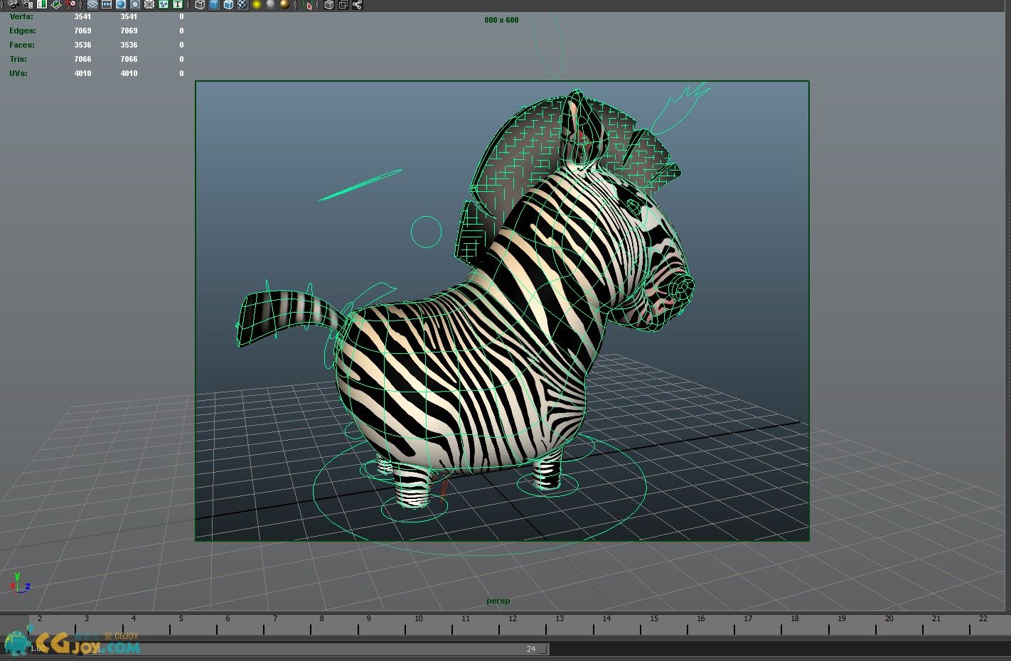 Zebra_07.jpg