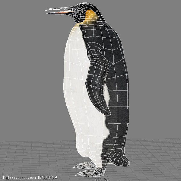 Penguin modeling s.jpg