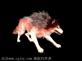 ͬëɫ.gif