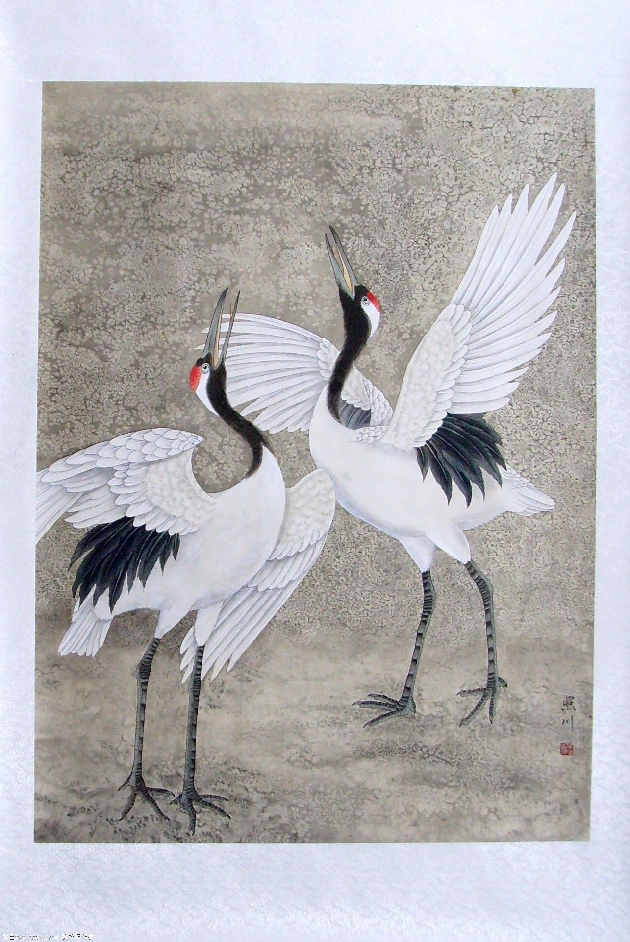 crane TP A.jpg