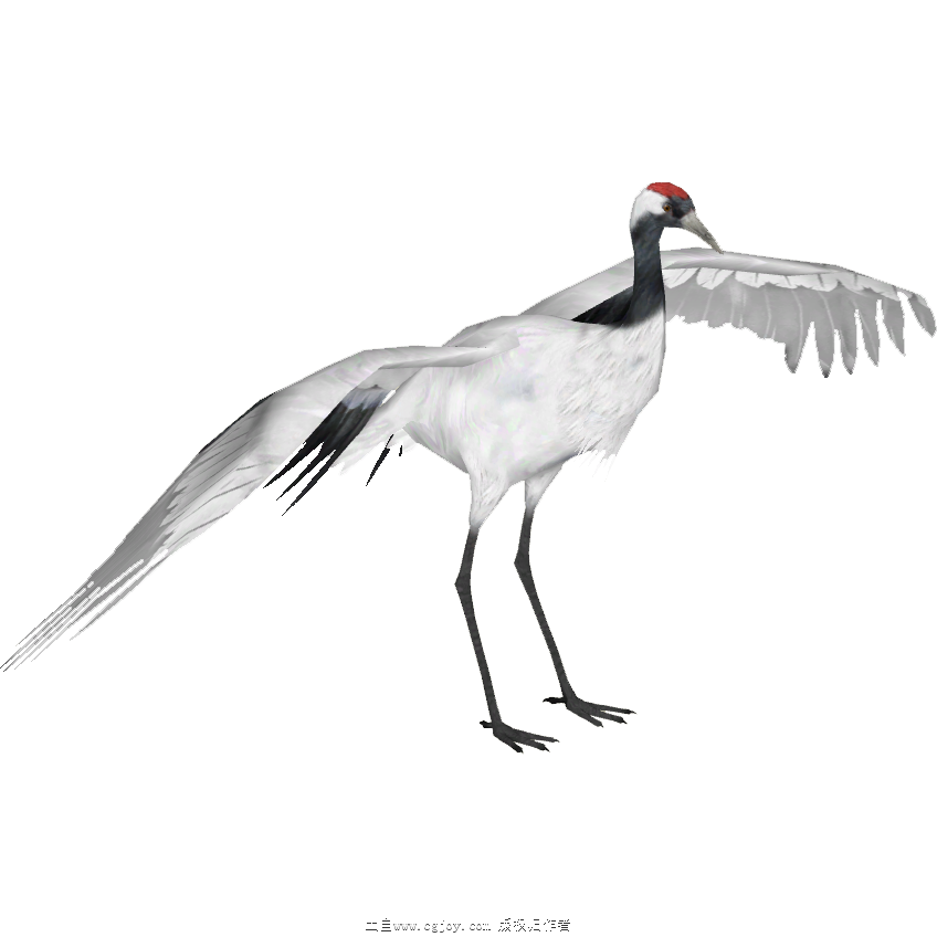 Red_Crowned_Crane_(Tamara_Henson).png