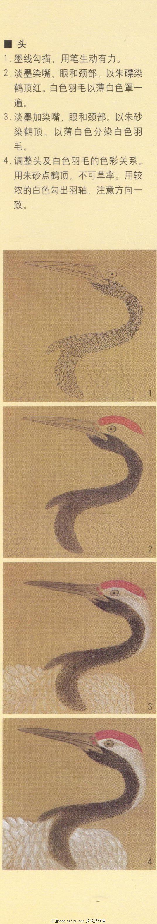 �ɺ�ר������ e.jpg