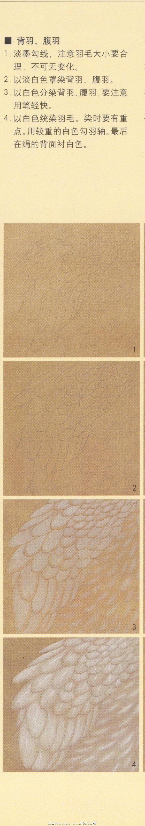 �ɺ�ר������ f.jpg