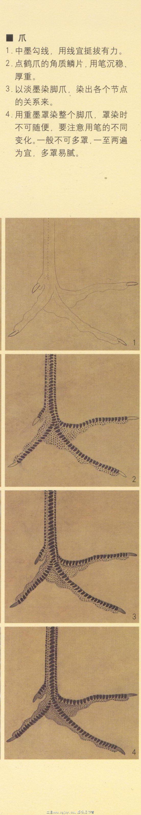 �ɺ�ר������ g.jpg