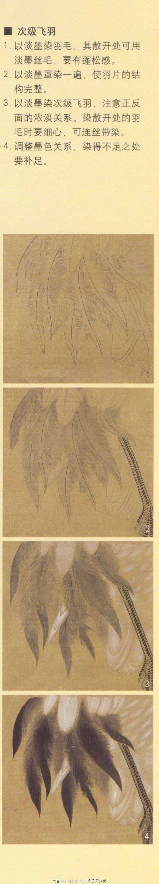 �ɺ�ר������ h.jpg