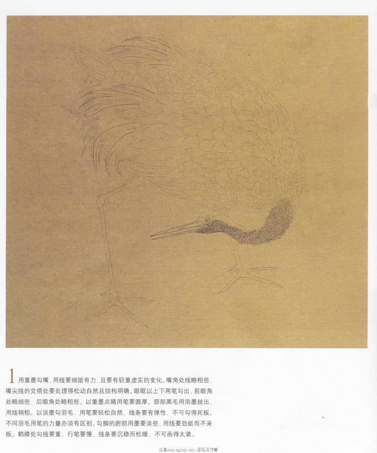 �ɺ�ר������ i.jpg