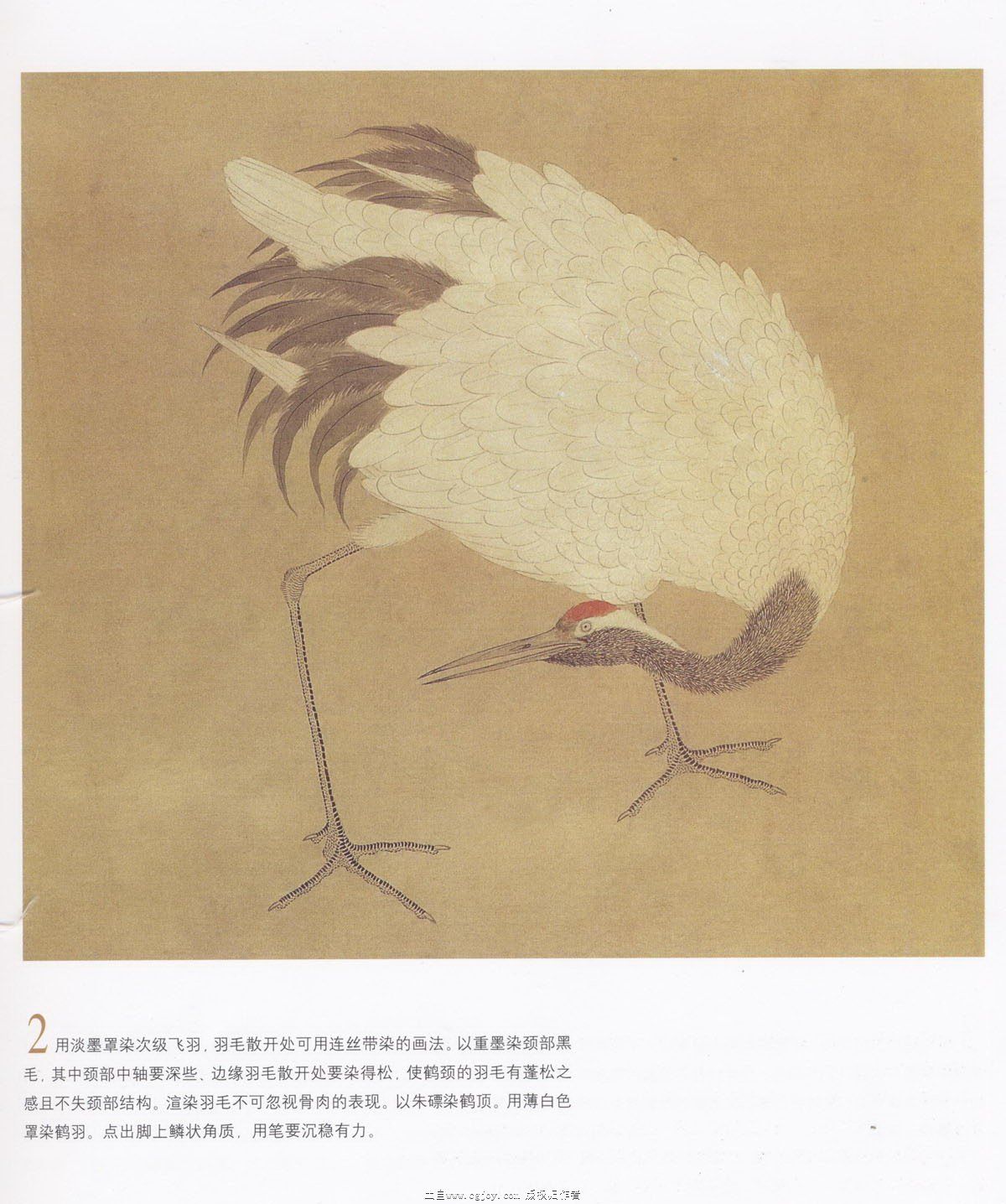 �ɺ�ר������ j.jpg