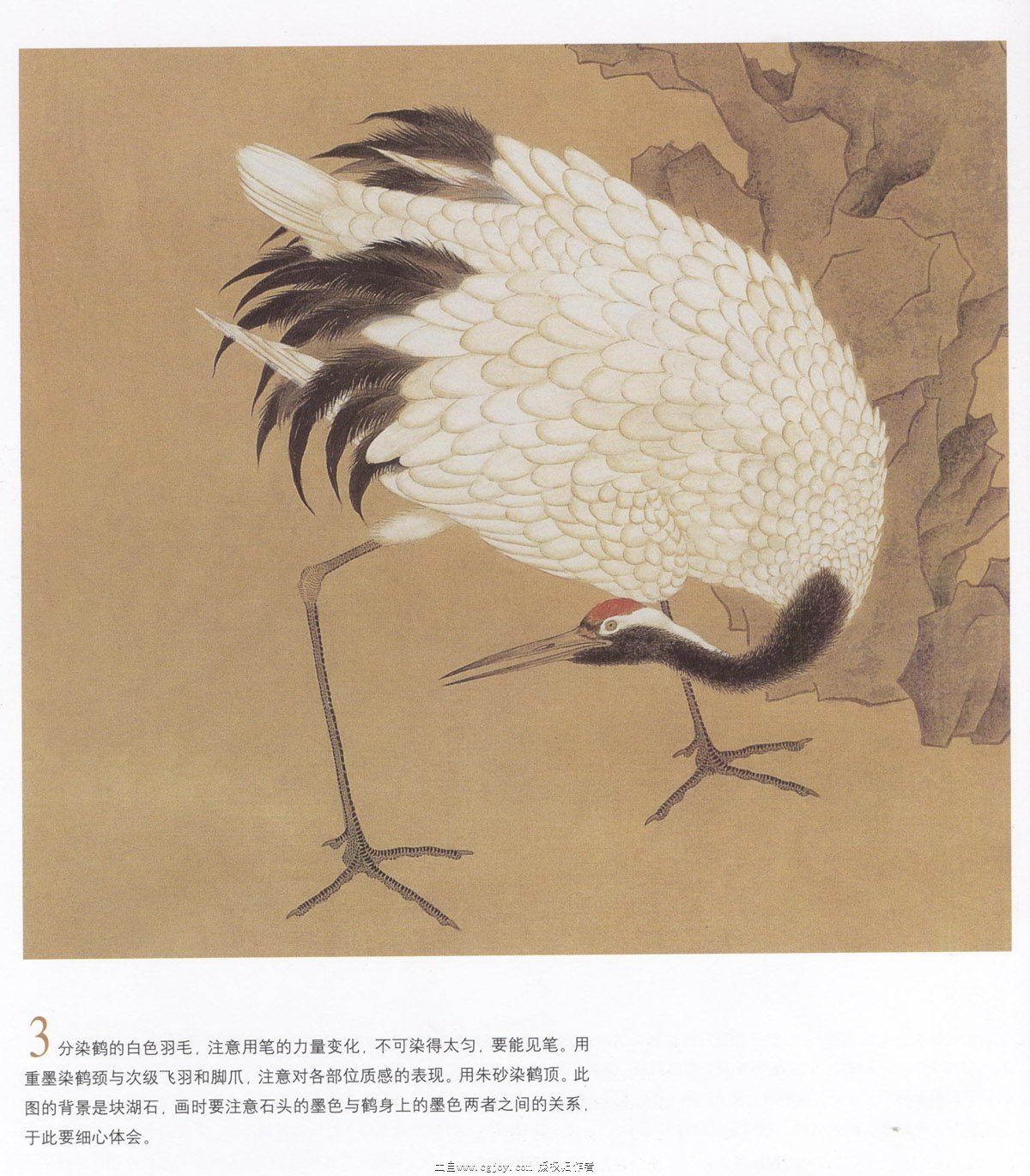 �ɺ�ר������ k.jpg