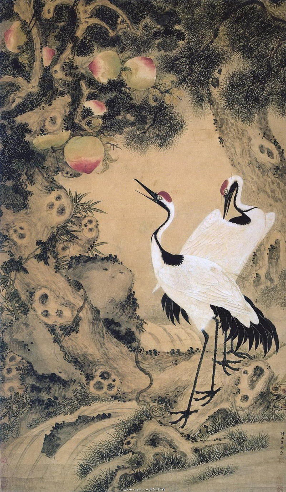 �ɺ�ר������ n.jpg