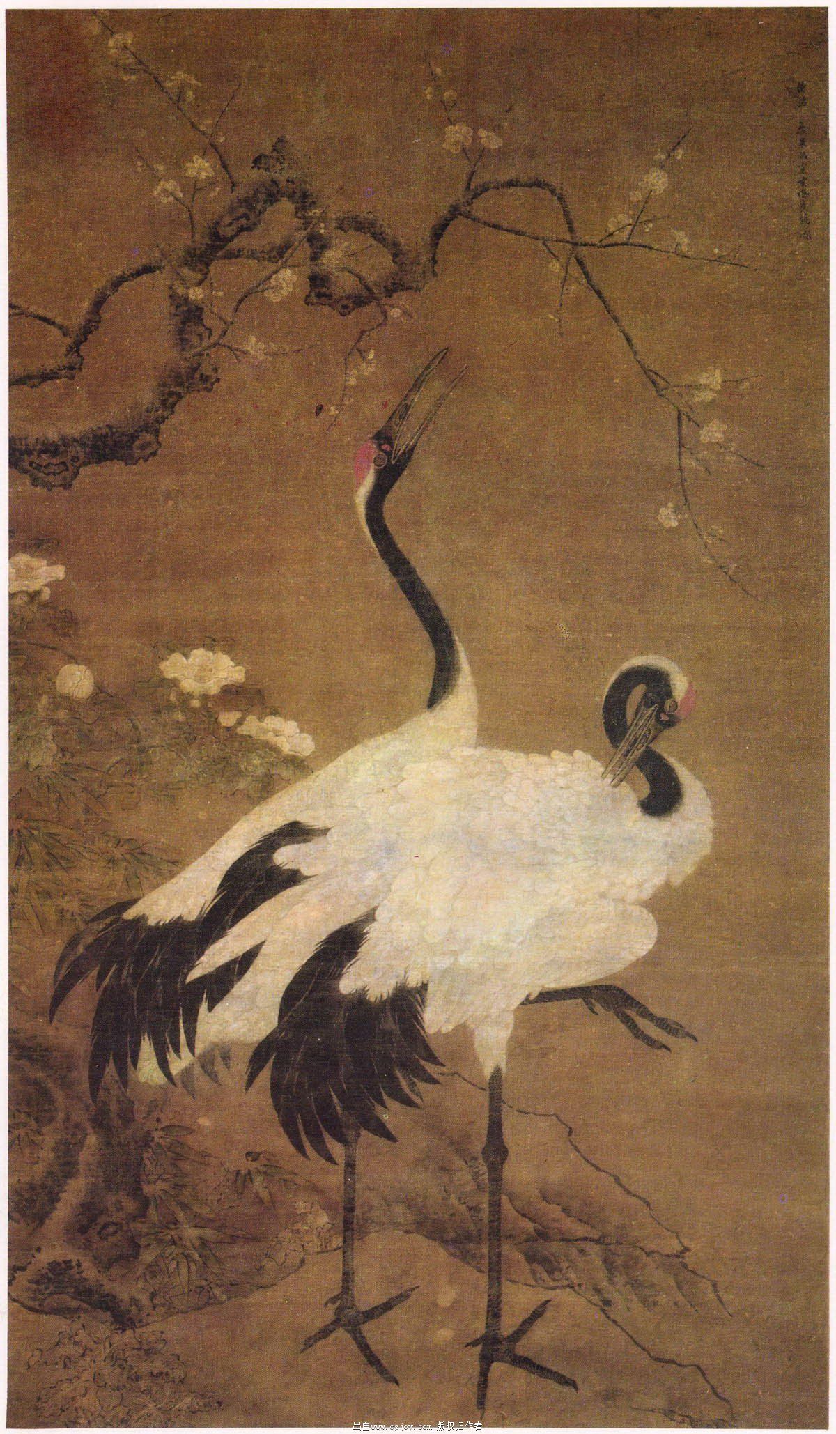 �ɺ�ר������ o.jpg