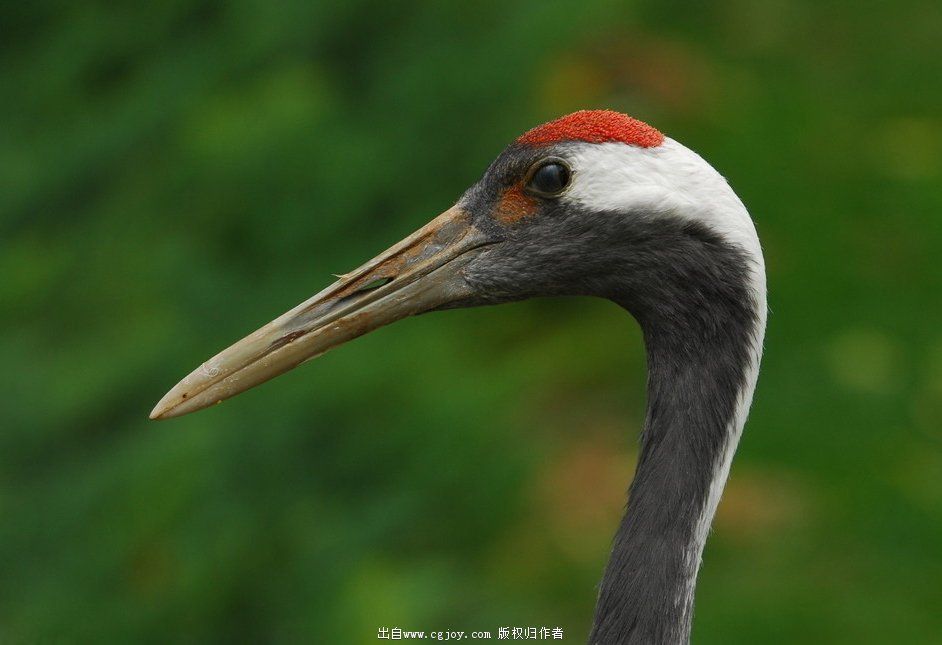 ������ 05.jpg