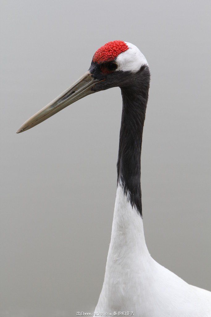 ������ 27.jpg