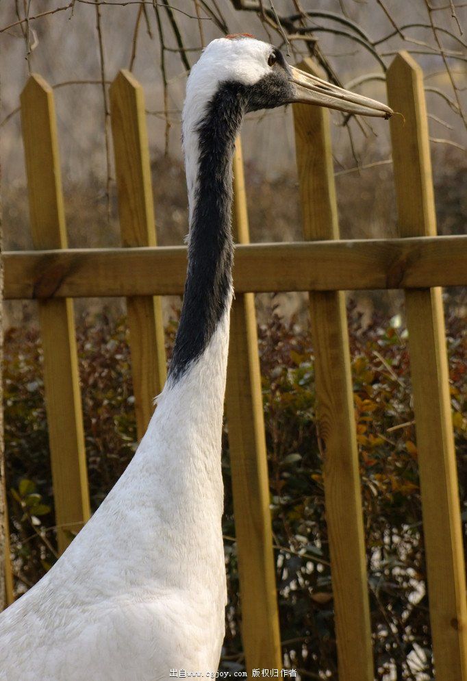 ������ 13.jpg