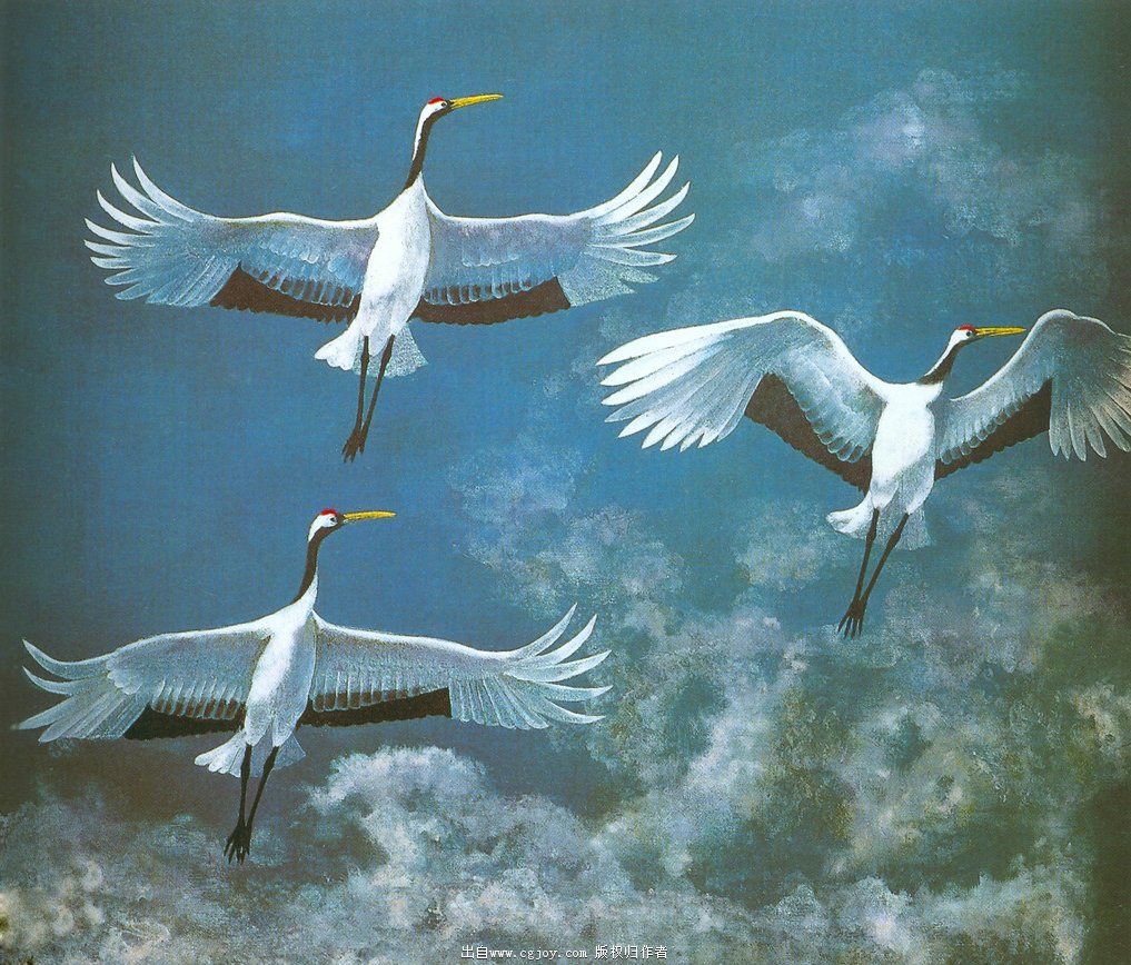 ��ԭ�� c.jpg