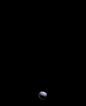 yan.gif