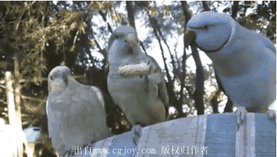 61ea1df4jw1ewb7x64yv0g20b406bb2f.gif