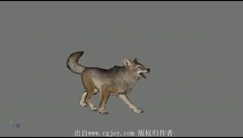 03.gif