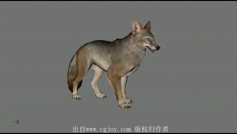 05.gif