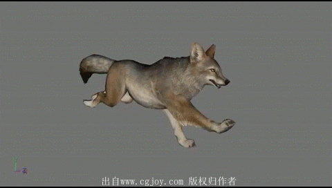 06.gif