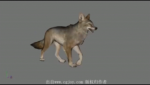 07.gif
